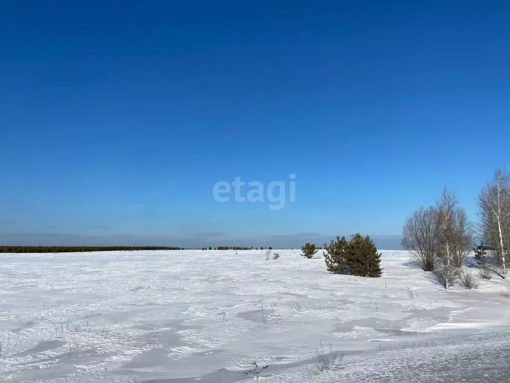 Участок в Свердловская область, Белоярский пгт  (1160.0 сот.) - Фото 1