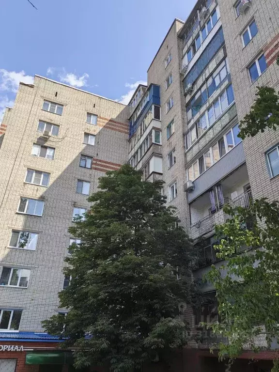 1-к кв. Белгородская область, Белгород ул. Щорса, 21 (41.0 м) - Фото 0