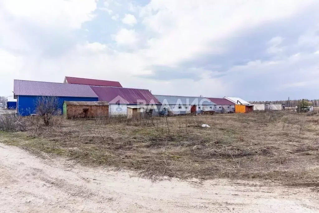 Производственное помещение в Владимирская область, Ковровский район, ... - Фото 1