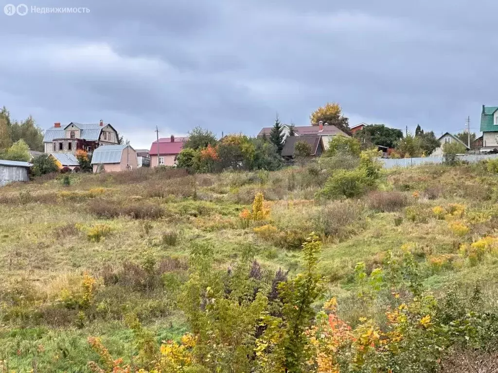 Участок в Тульская область, Венёвский муниципальный округ, КП Хуторок ... - Фото 2