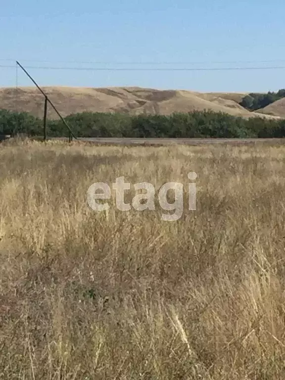 Участок в Саратовская область, Балашовский район, с. Большой Мелик ... - Фото 0