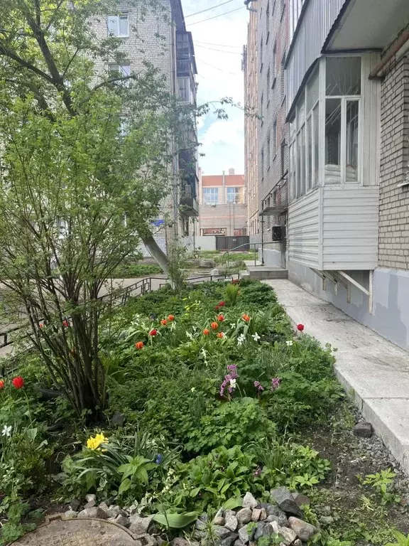 2-к кв. Архангельская область, Архангельск просп. Ломоносова, 216 ... - Фото 0