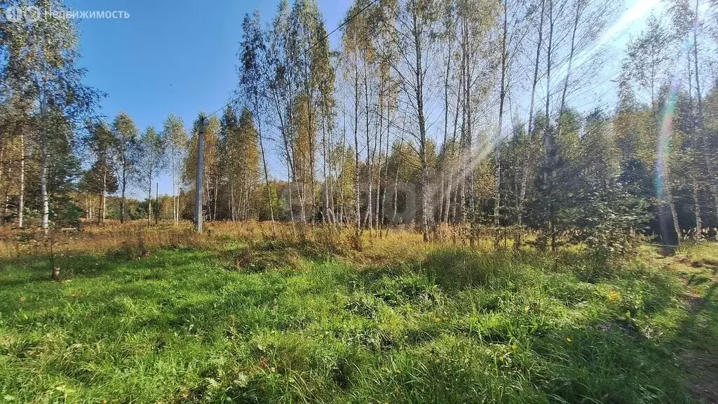 Участок в Ковровский район, муниципальное образование Малыгинское, ... - Фото 0