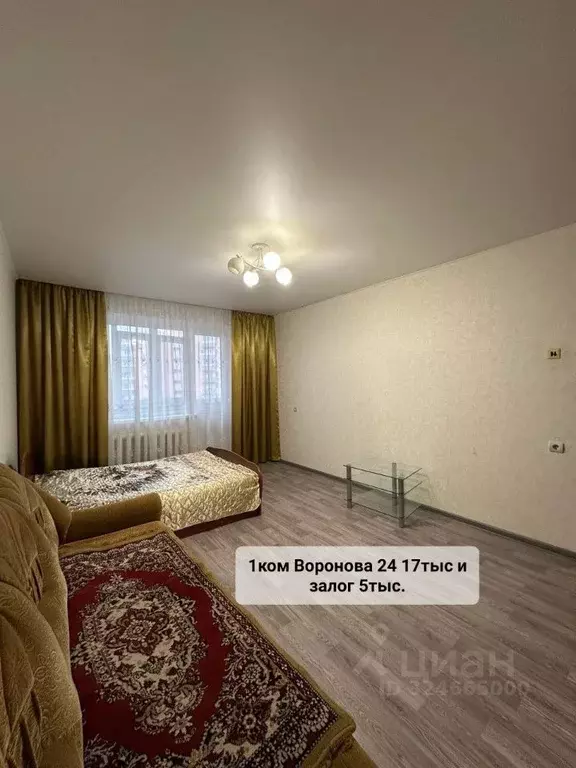 1-к кв. Пензенская область, Пенза ул. Воронова, 24 (33.0 м) - Фото 1