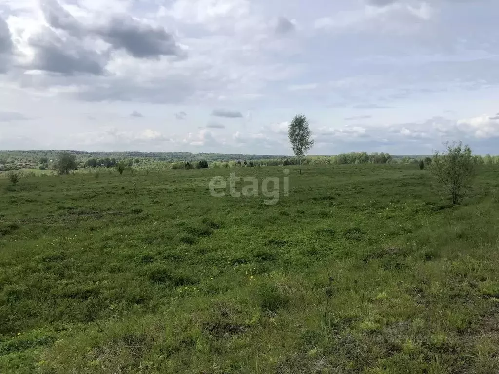 Участок в Смоленская область, Смоленский муниципальный округ, ... - Фото 1
