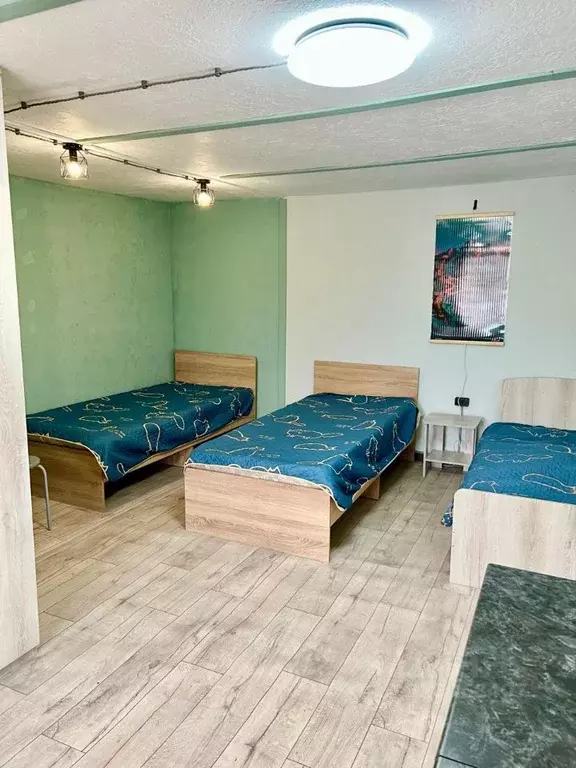 Дом в Алтай, Чемальский район, с. Чепош  (60 м) - Фото 2