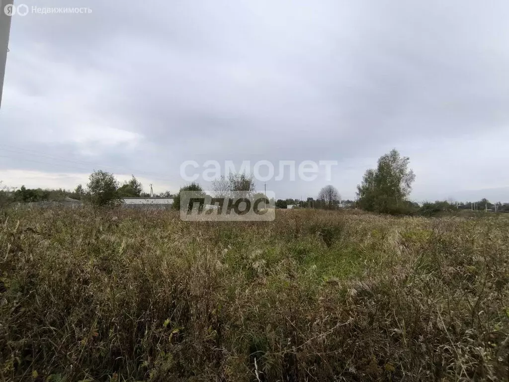 Участок в Смоленский муниципальный округ, деревня Кощино (10 м) - Фото 2