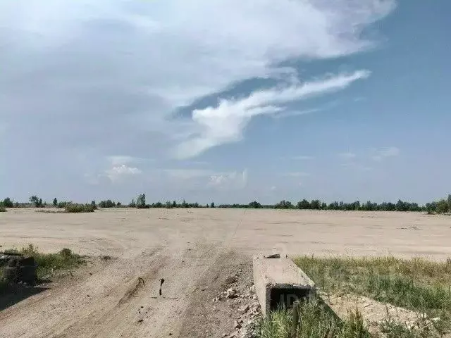 Участок в Омская область, Любинский район, СНТ Сибзаводовец-3 ТСН  ... - Фото 1