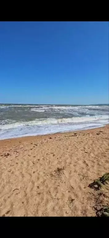 Участок в Крым, Ленинский район, Останинское с/пос, с. Песочное ул. ... - Фото 1
