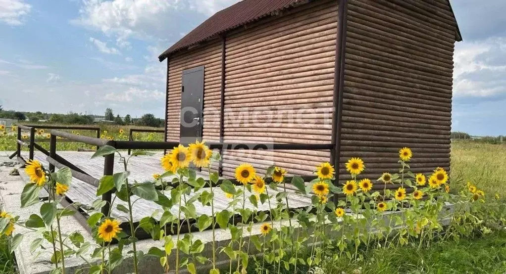 Участок в Тюменская область, Тюменский муниципальный округ, с. ... - Фото 2