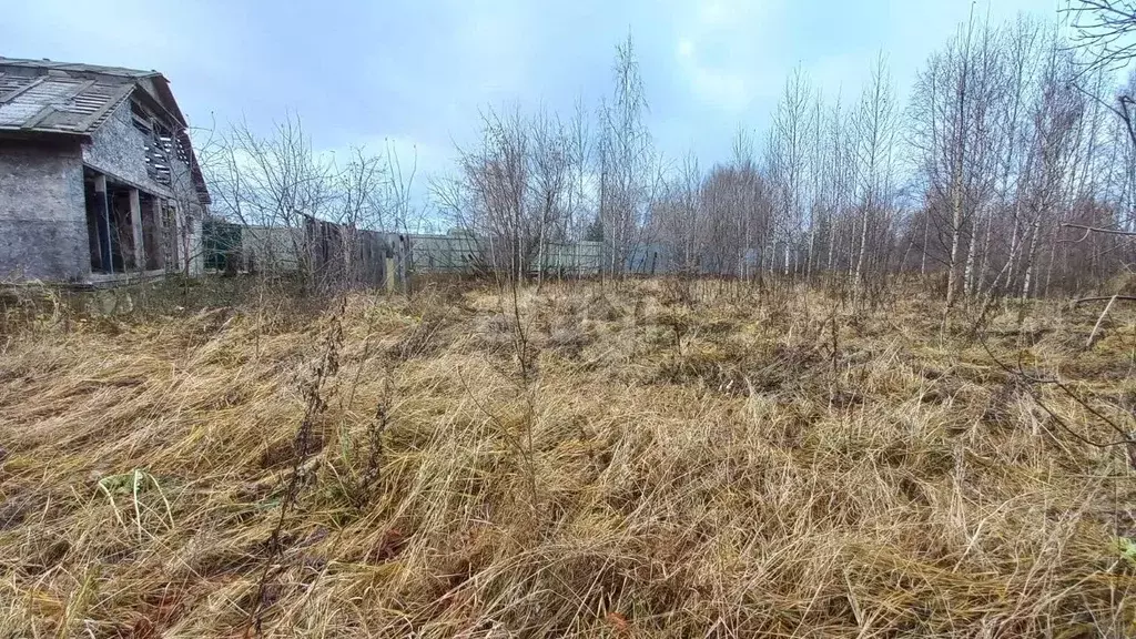 Участок в Владимирская область, Ковровский район, Малыгинское с/пос, ... - Фото 2