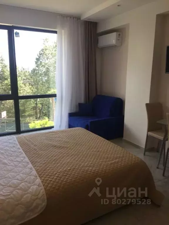 Студия Краснодарский край, Сочи Курортный просп., 96Г (25.0 м) - Фото 1
