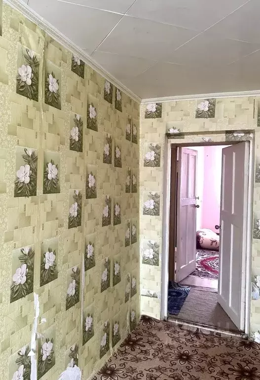 3-к кв. Камчатский край, Петропавловск-Камчатский Пограничная ул., 14 ... - Фото 2