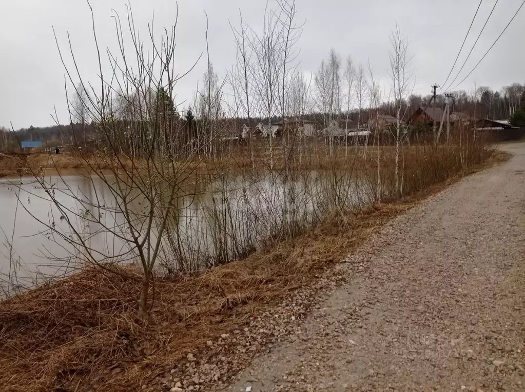 Участок в Калужская область, Боровский муниципальный округ, Лесные ... - Фото 1