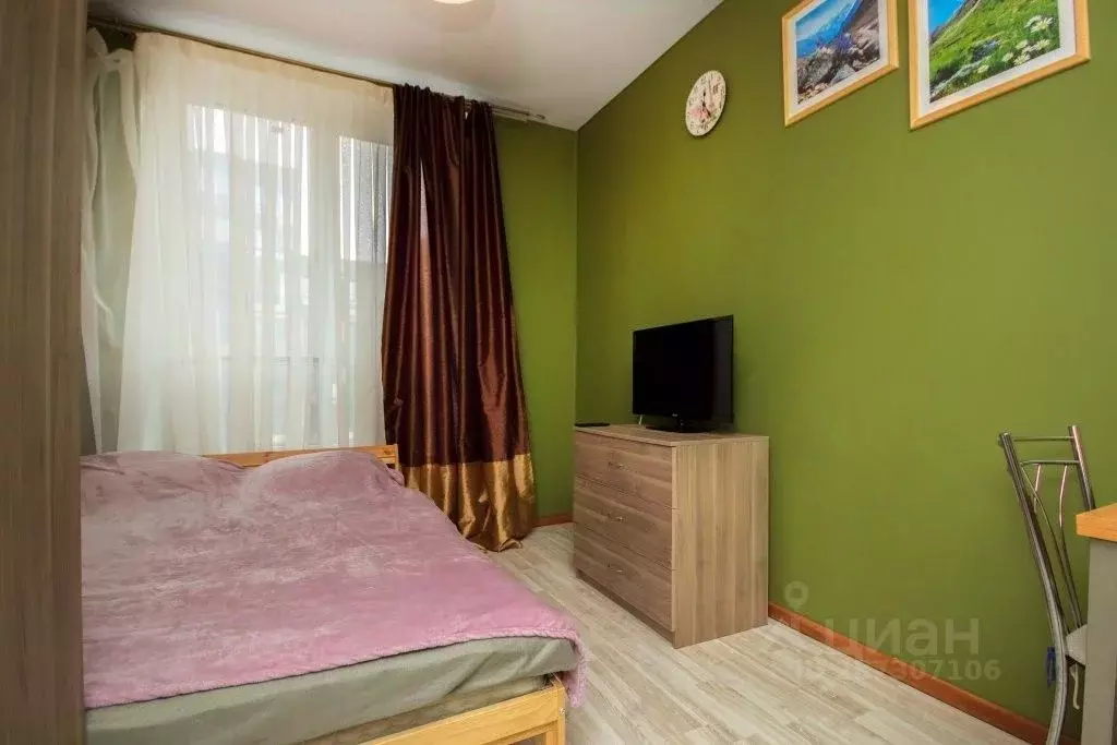 1-к кв. Московская область, Апрелевка Наро-Фоминский городской округ, ... - Фото 2