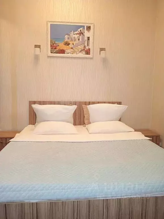 Комната Челябинская область, Челябинск Сетевая ул., 11 - Фото 1