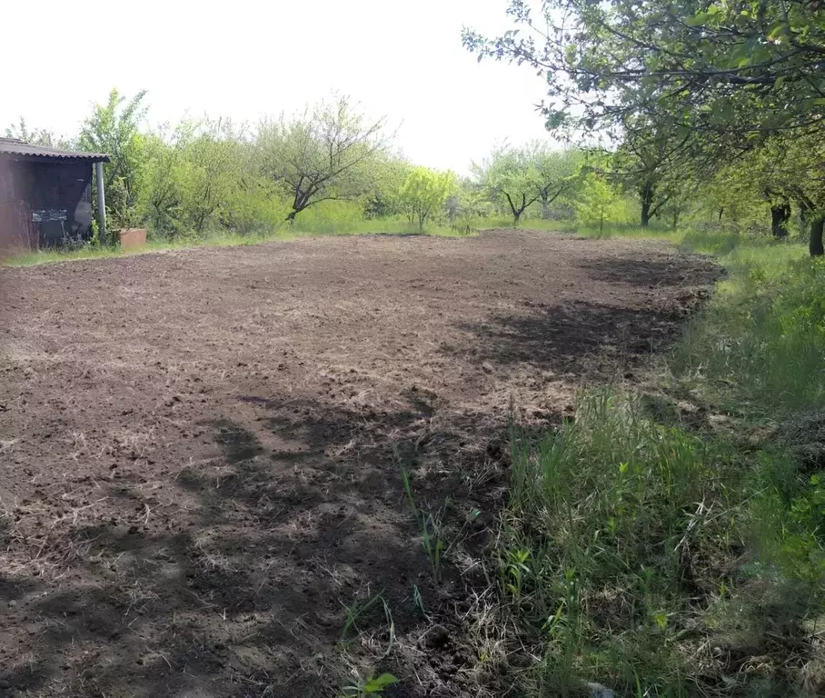 Участок в Белгородская область, Белгородский район, Северный городское ... - Фото 2