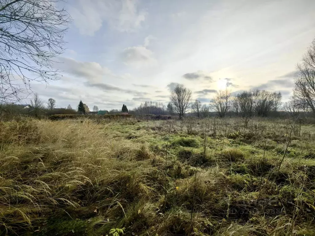 Участок в Тверская область, Калязинский муниципальный округ, д. ... - Фото 1