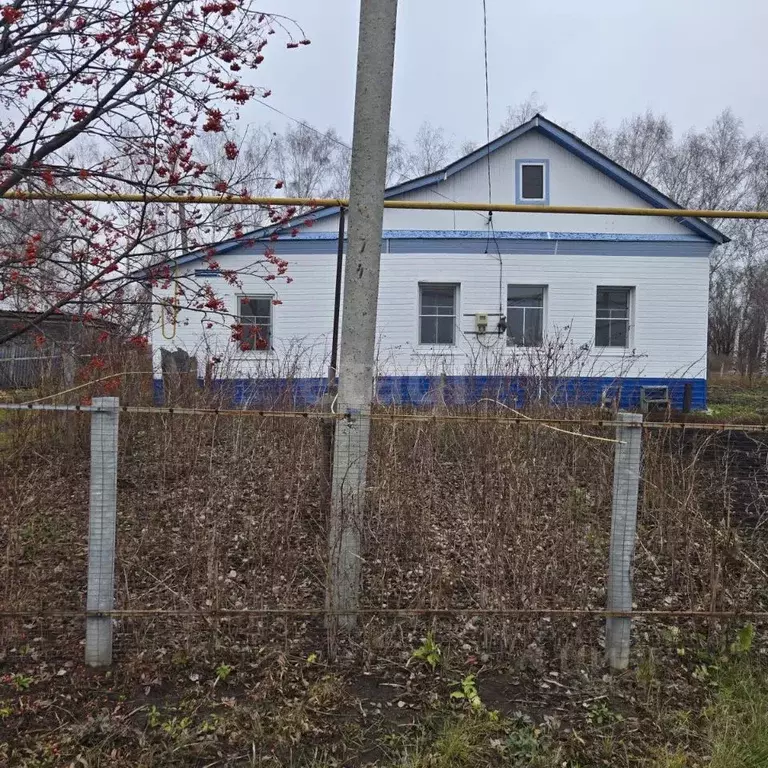 Дом в Мордовия, Старошайговский район, Лемдяйское с/пос, с. Лемдяй ул. ... - Фото 1