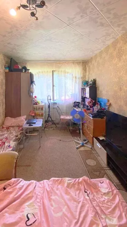 1-к кв. Приморский край, Партизанский муниципальный округ, с. ... - Фото 1