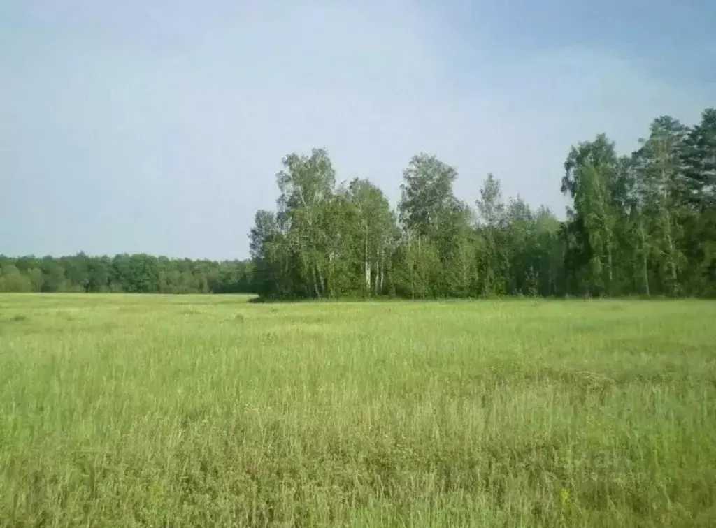 Участок в Самарская область, Красный Яр с/пос, пос. Кириллинский ул. ... - Фото 2