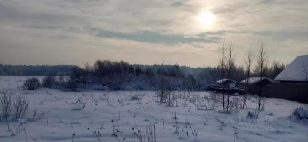 Участок в Московская область, Дмитровский муниципальный округ, д. ... - Фото 1