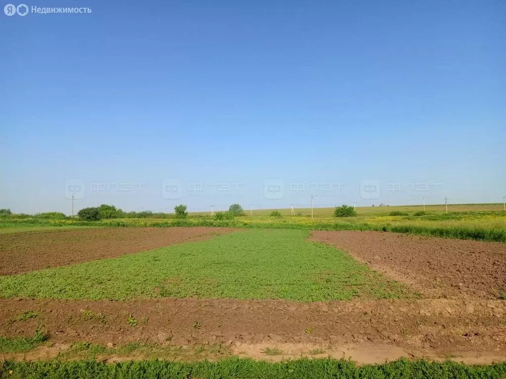 Участок в село Шапши, Полевая улица, 4 (25 м) - Фото 0