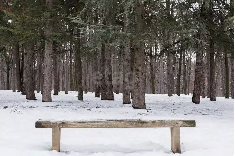 Участок в Красноярский край, Сосновоборский муниципальный округ, пос. ... - Фото 2