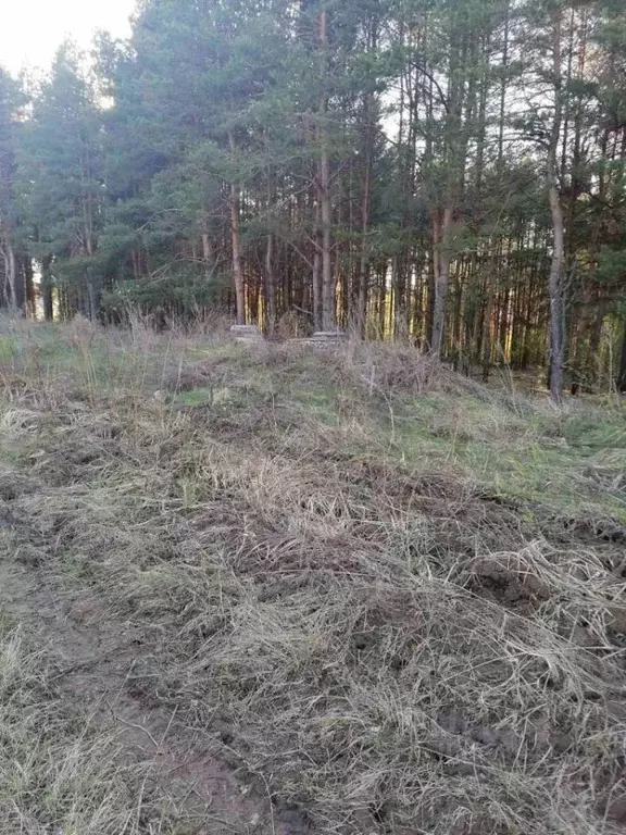 Участок в Нижегородская область, Павлово ул. Аллея Ильича (12.0 сот.) - Фото 0