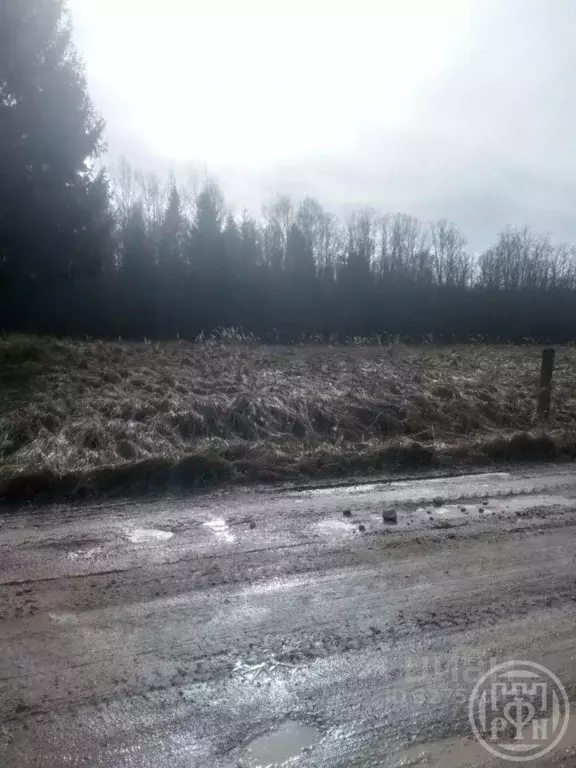 Участок в Новгородская область, Батецкий муниципальный округ, д. ... - Фото 2