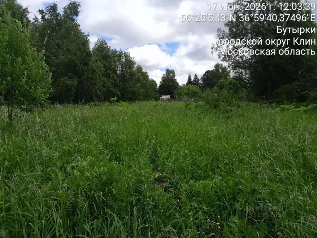 Участок в Московская область, Клин городской округ, д. Бутырки  (15.13 ... - Фото 1