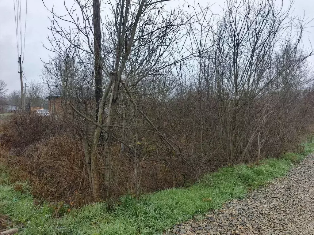 Участок в Краснодарский край, Северский район, Афипское городское ... - Фото 0