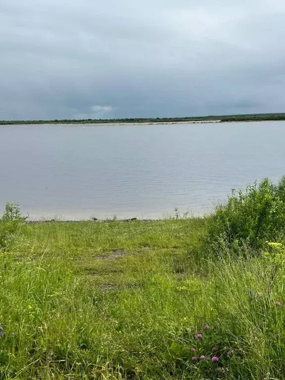 Участок в Архангельская область, Холмогорский муниципальный округ, д. ... - Фото 1