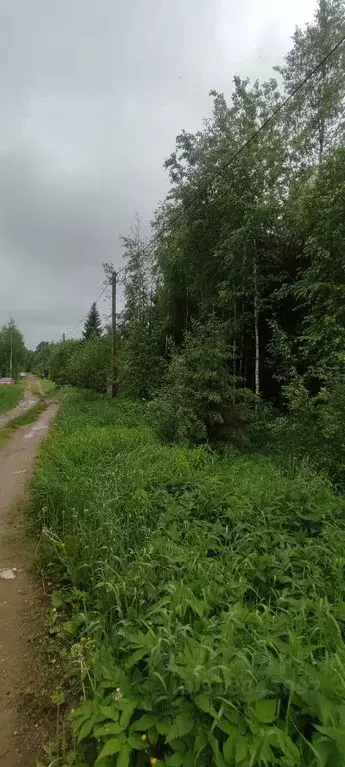 Участок в Коми, Сыктывдинский район, с. Выльгорт, Русь СДТ 281 (10.0 ... - Фото 1