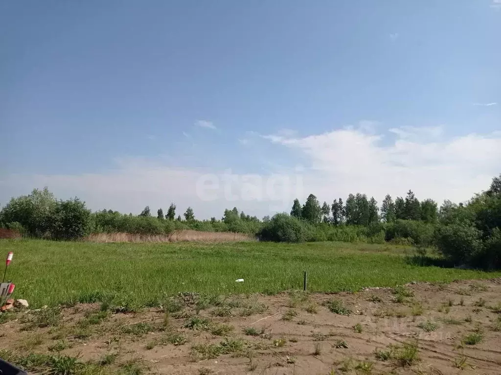 Участок в Тюменская область, Тюмень Садовое товарищество Липовый ... - Фото 1