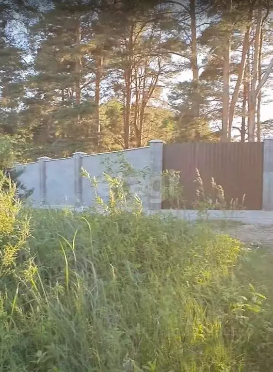 Участок в Псковская область, Печорский муниципальный округ, д. ... - Фото 2