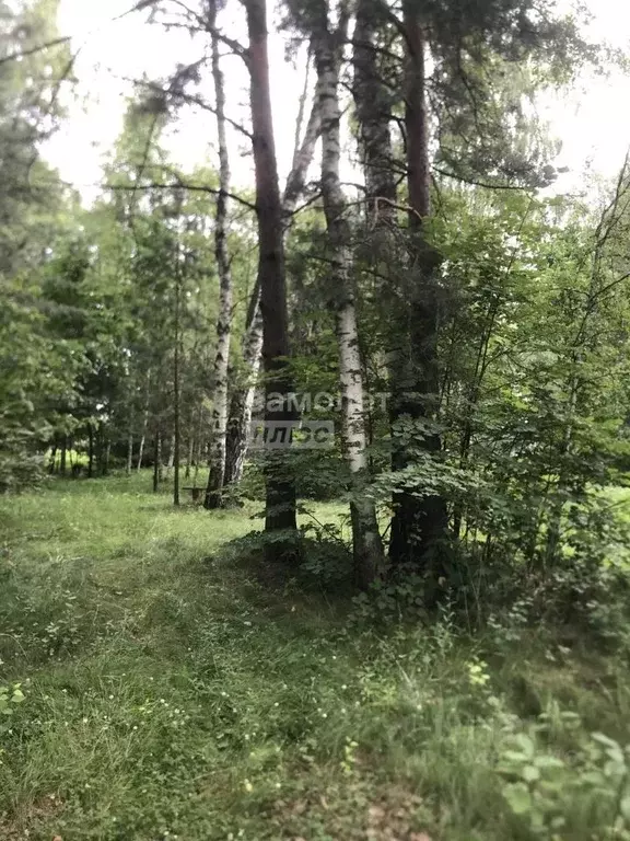 Участок в Владимирская область, Судогодский район, Лавровское ... - Фото 0