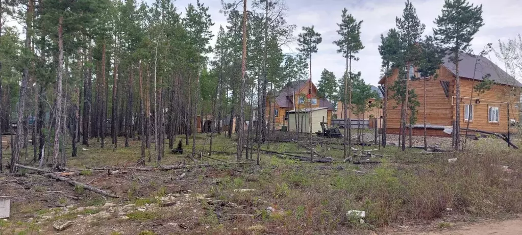 Участок, 12 сот., поселения (ижс) - Фото 1