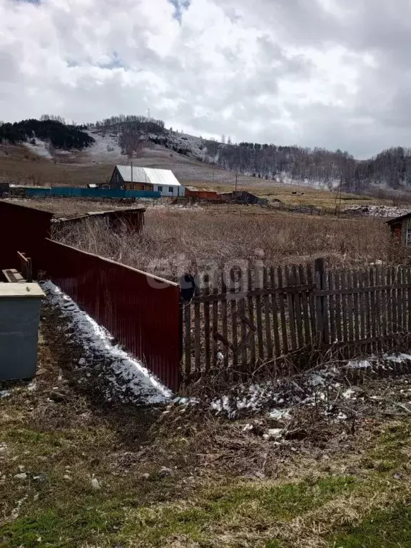 Участок в Алтайский край, Алтайский район, с. Сараса ул. Кузьмина ... - Фото 0