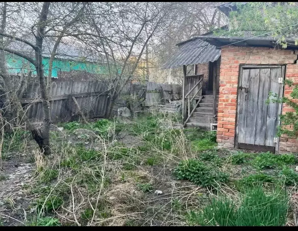 Дом в Белгородская область, Новооскольский муниципальный округ, с. ... - Фото 1