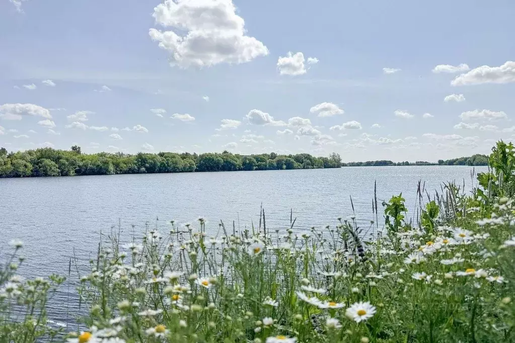 Участок в Московская область, Жуковский Жуковский-2 промзона,  (7.5 ... - Фото 1