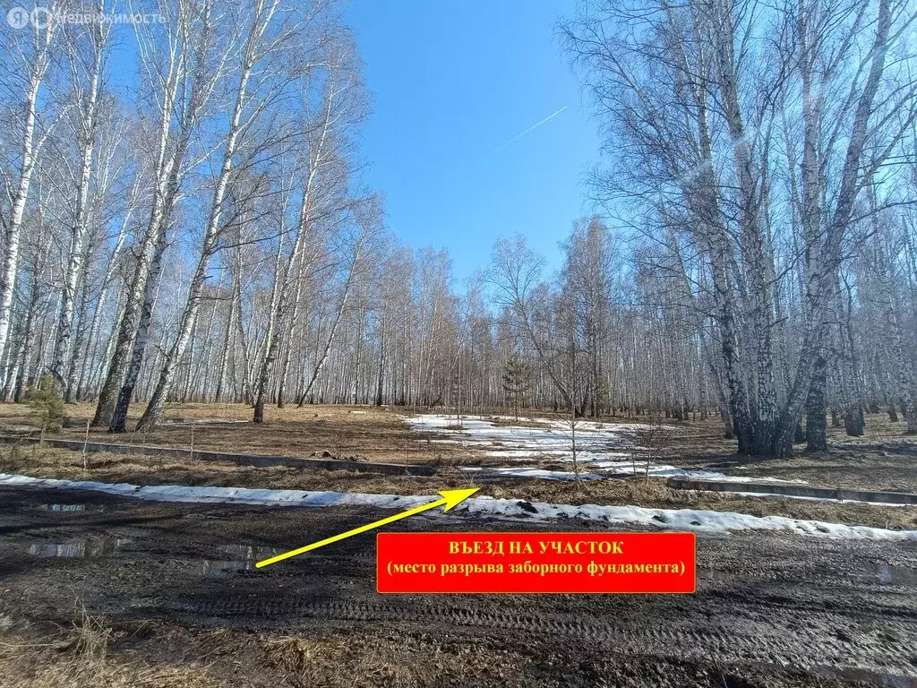 Участок в посёлок Рощино, Российская улица, 151А (14 м) - Фото 2