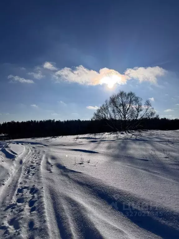 Участок в Московская область, Одинцовский городской округ, д. Ивашково ... - Фото 1