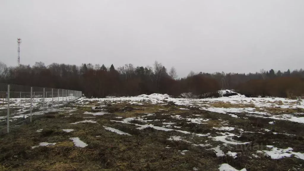Участок в Московская область, Рузский муниципальный округ, д. ... - Фото 1