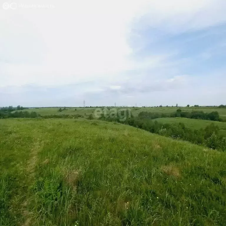 Участок в городской округ город Калуга, село Росва (19.97 м) - Фото 2