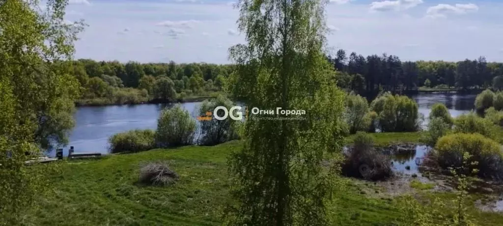 Участок в Брянская область, Выгоничский район, Сосновское с/пос, д. ... - Фото 2