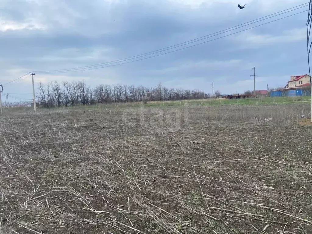 Участок в Ростовская область, Мясниковский район, с. Большие Салы ул. ... - Фото 2