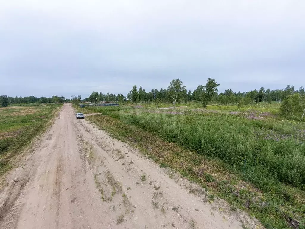 Участок в Тюменская область, Нижнетавдинский муниципальный округ, ... - Фото 1