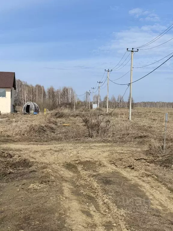 Участок в Новосибирская область, Новосибирский район, Морской ... - Фото 1