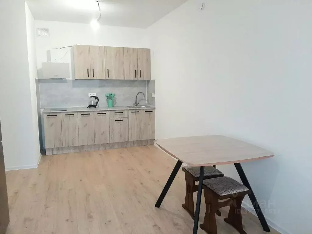 1-к кв. Ленинградская область, Всеволожский район, д. Новое Девяткино ... - Фото 1